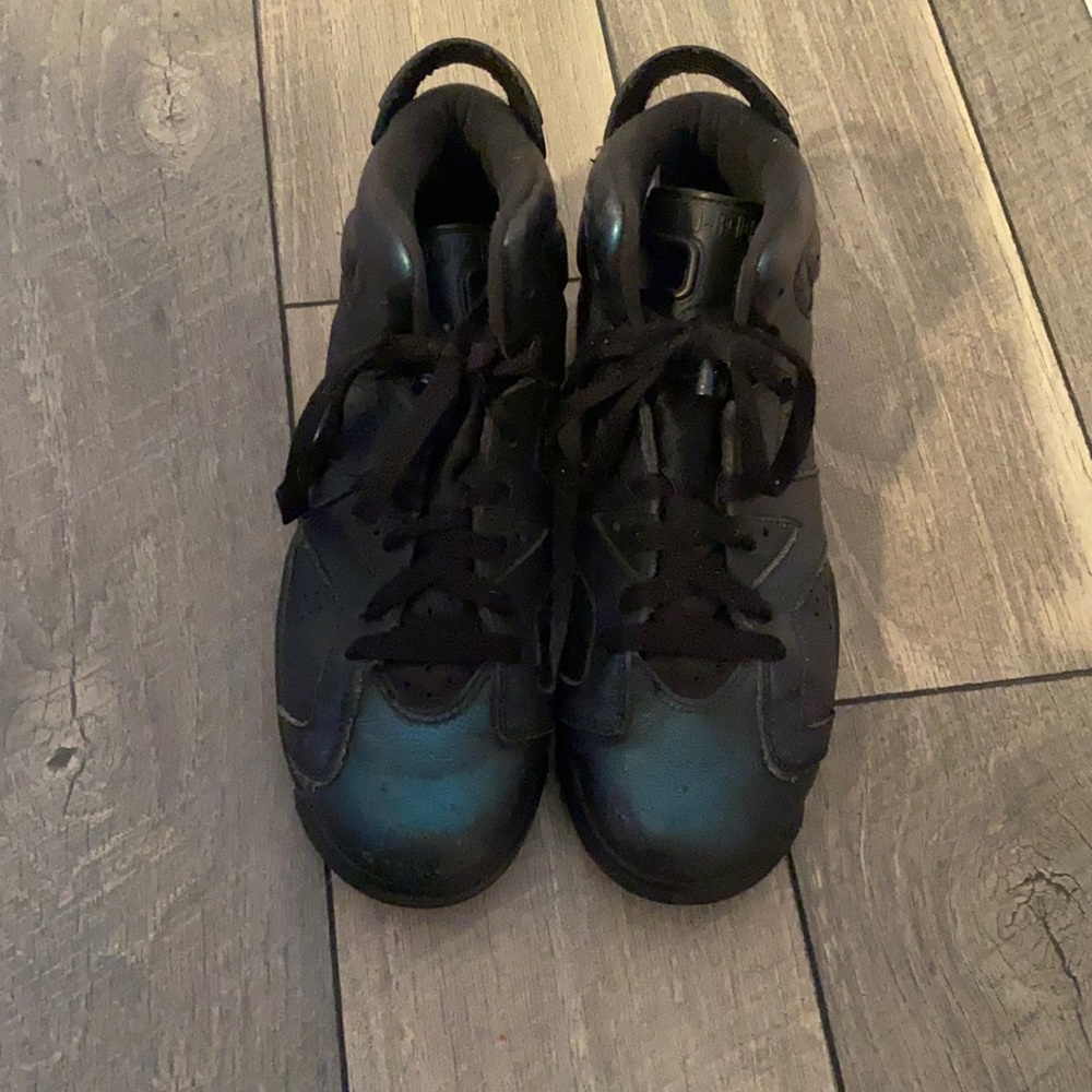 Jordan 6 Chameleon